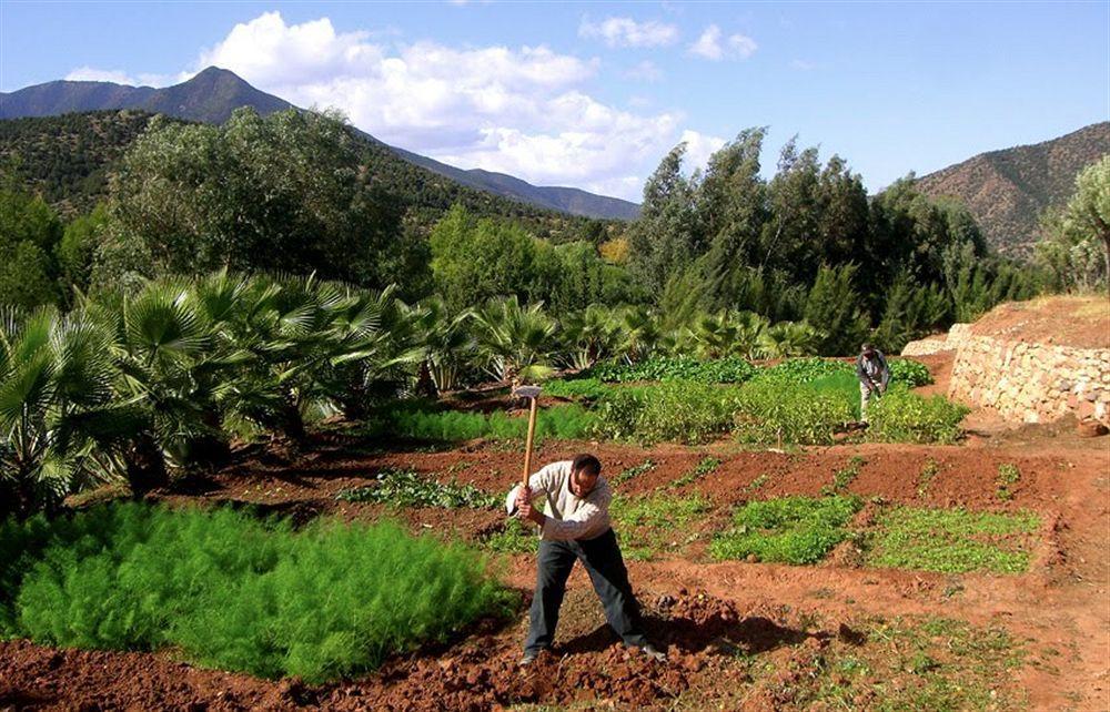 Domaine Malika Hotel Moulay Brahim Exterior photo